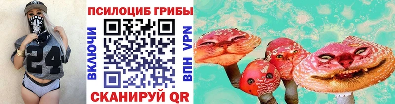 Галлюциногенные грибы Cubensis  Купить закладки  Истра 